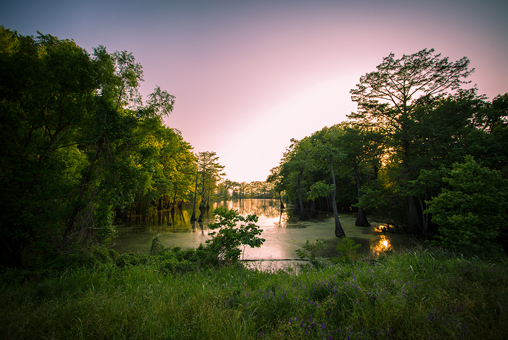 Louisiana