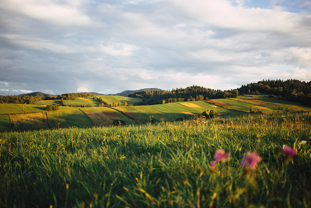 Poland-freestocks-Gqc1jl2kd1U-unsplash