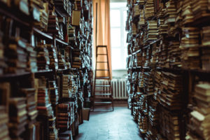 interior of library with books on wooden shelves and ledder