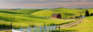 Palouse farm with red barn and road leading along a white fence