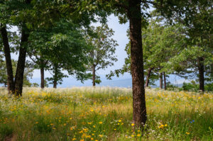 Petit Jean State Park